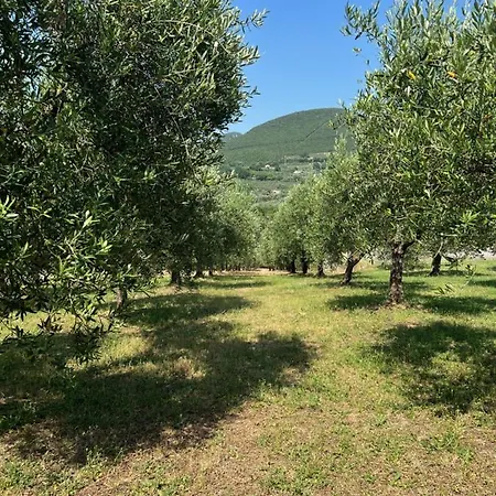 Сasa de vacaciones La Casa Di Demetra Montecchio (Terni)